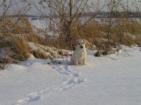 /album/fotogalerie/img00001-jpg1/