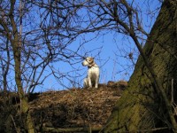 /album/fotogalerie/img00007x-jpg/