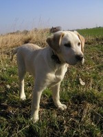 /album/fotogalerie/img00008-jpg/
