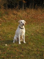 /album/stene/img00013-jpg/