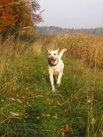/album/stene/img00016-jpg/