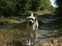 /album/rok-2008/p1020165-jpg/