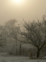 /album/rok-2008/p1020881x1-jpg/