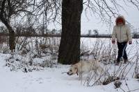 /album/a2010/img-4675x1-jpg/